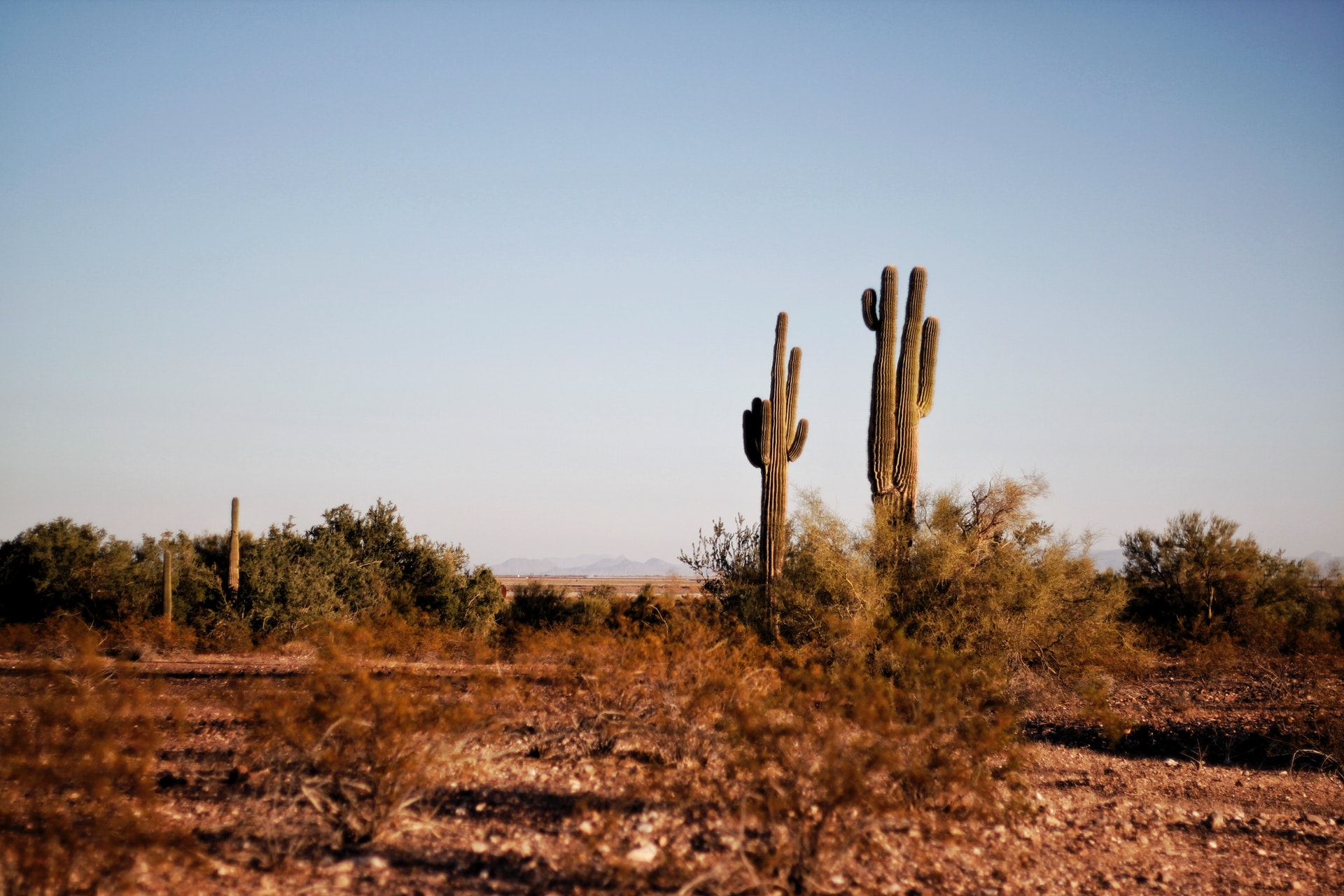 Arizona Appliance Repairs