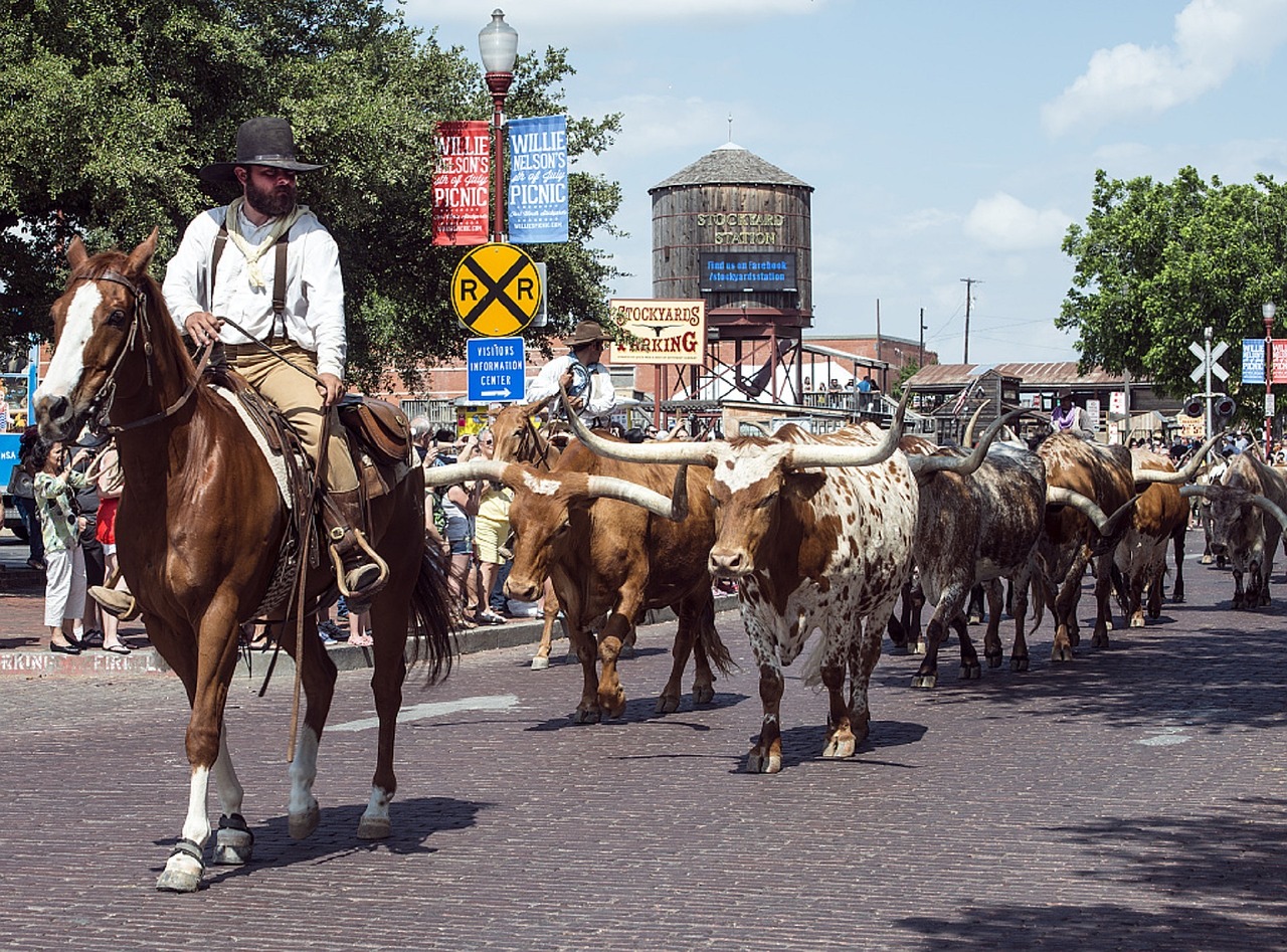 Check Out What to Do in The Fort: Fort Worth Stock Show and Rodeo!