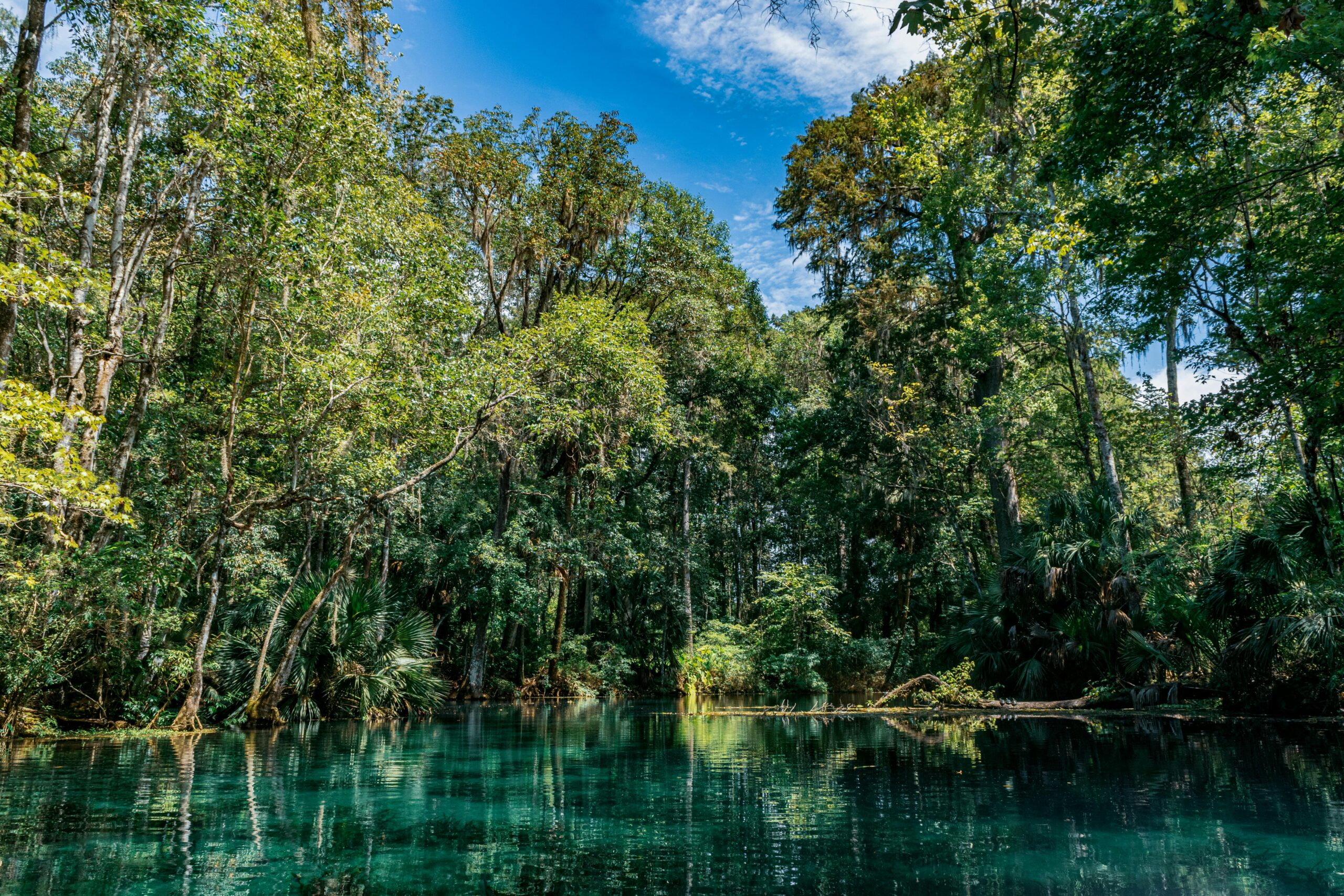 Top Swimming Holes in DFW, PHX, OKC, and Wichita