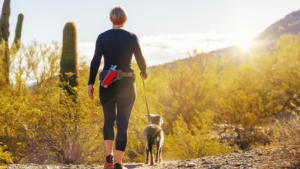 Keeping Active in Phoenix: The Best Hiking, Biking, and Outdoor Recreation Spots