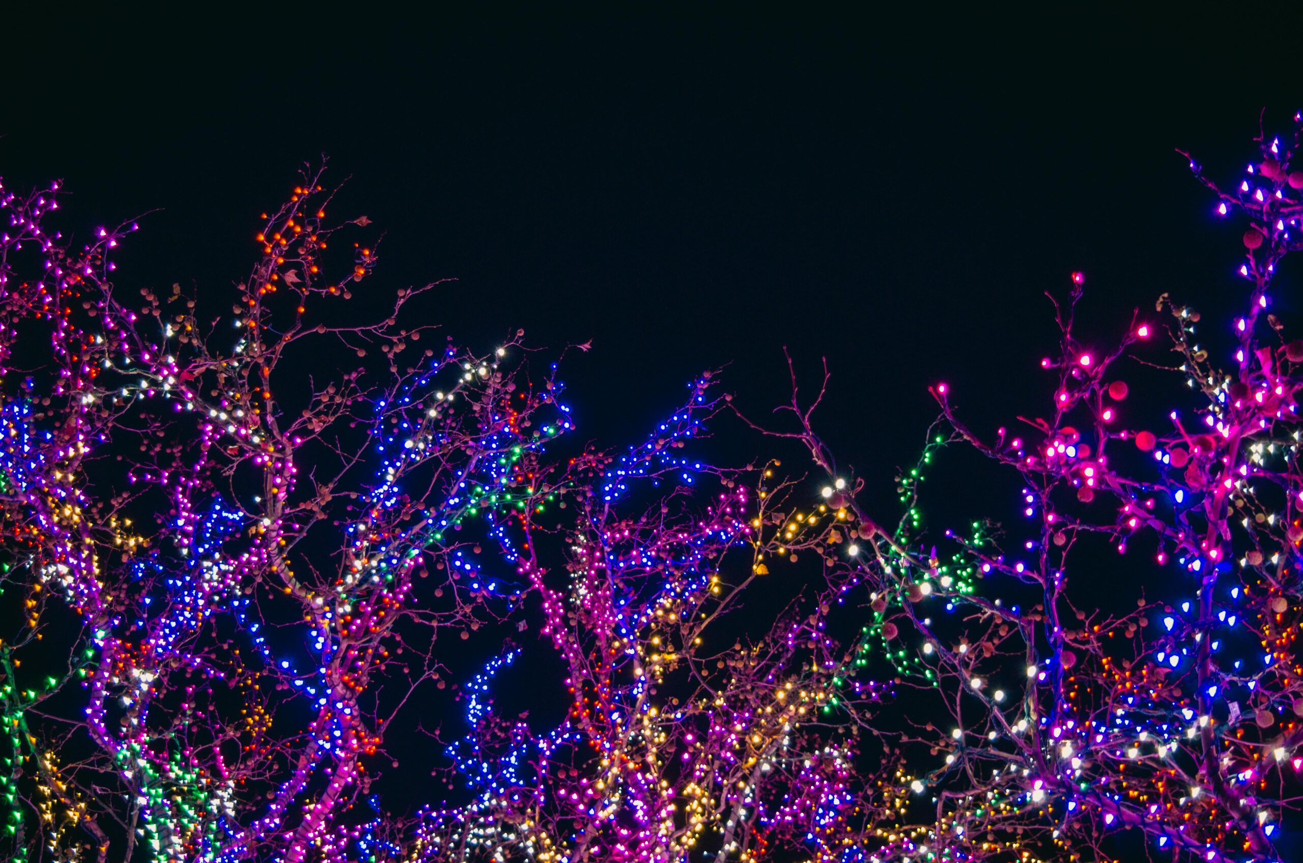 A Dazzling Display: DFW's Holiday Light Extravaganza 